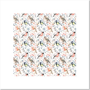 Garden Birds Print Posters and Art